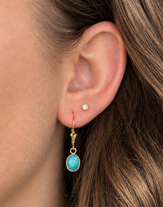 The Turquoise Earrings